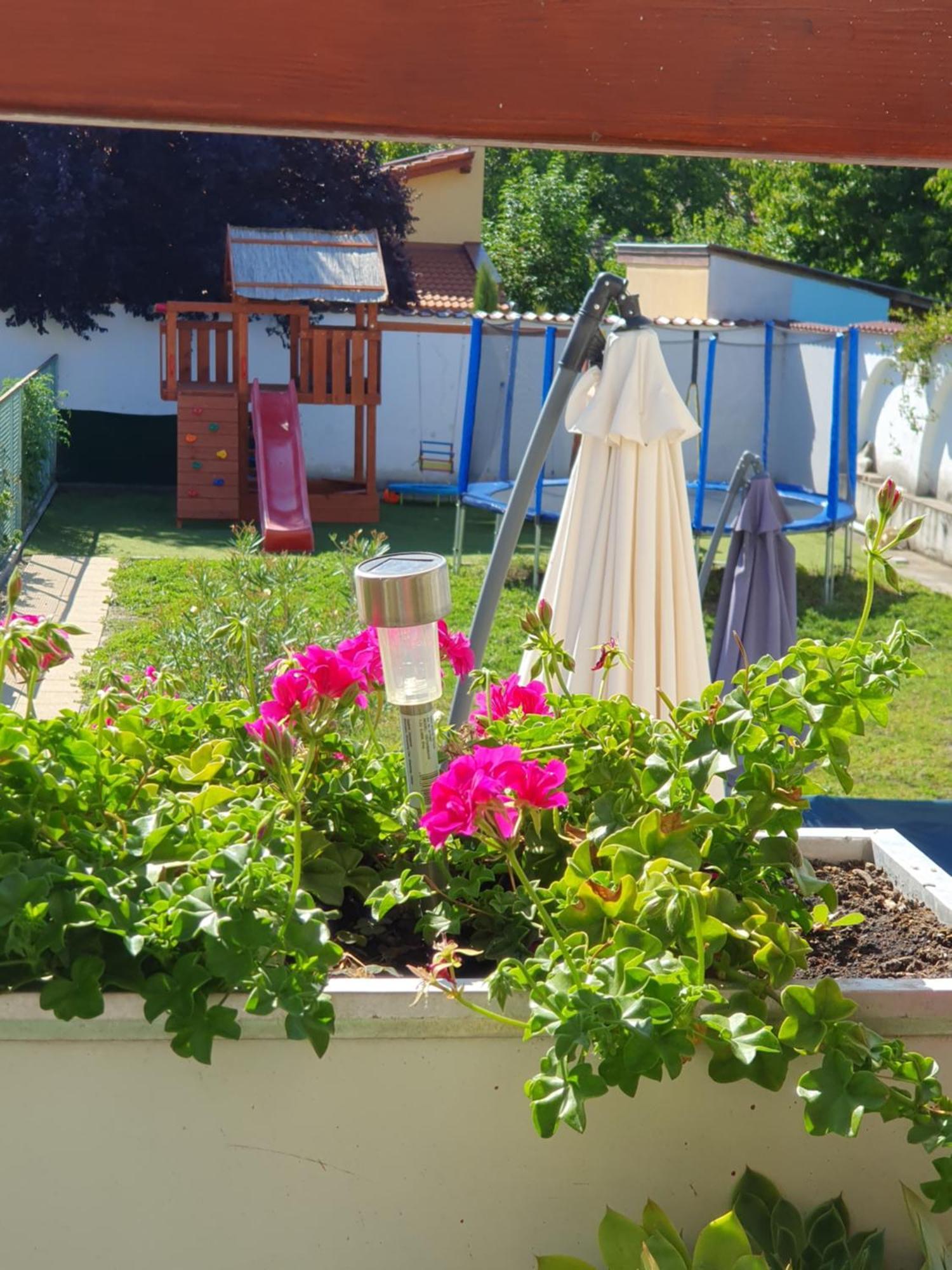 Bella Apartman Szeged Exteriör bild